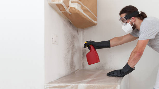 Professional Bathroom Mold Removal technician working in Mead, WA