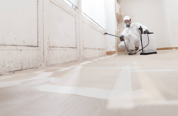 24/7 Emergency Bathroom Mold Removal experts in Mead, WA